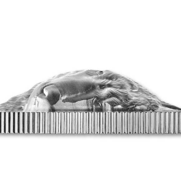 This piece is extremely collectible, 99.99% pure silver 36 millimetres & 31.62 g - Picture 4 of 10